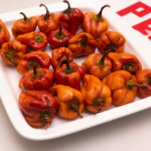Foto de mini pimentões assados na Airfryer. Os pimentões são apresentados em uma travessa, com azeite e especiarias espalhadas por cima. O fundo é branco e a imagem é bem iluminada, mostrando os detalhes dos pimentões assados.